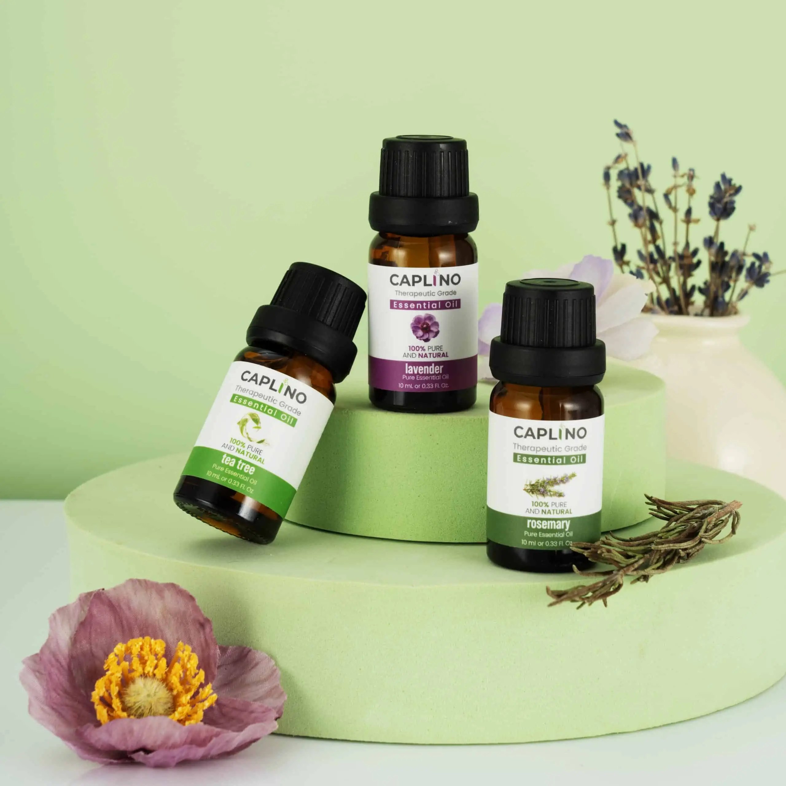 Caplino tea tree essential oil bottle surrounded by fresh green tea tree leaves. - thumbnail