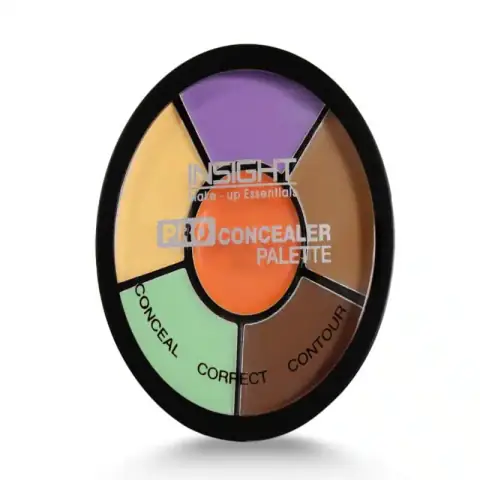Insight Cosmetics Pro Concealer Palette in sleek closed black compact, displaying brand logo.