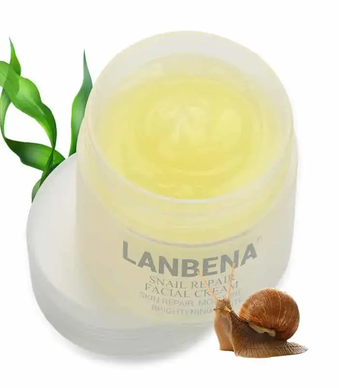 Lanbena Snail Repair Facial Cream applied on skin, demonstrating smooth absorption and hydration. - thumbnail
