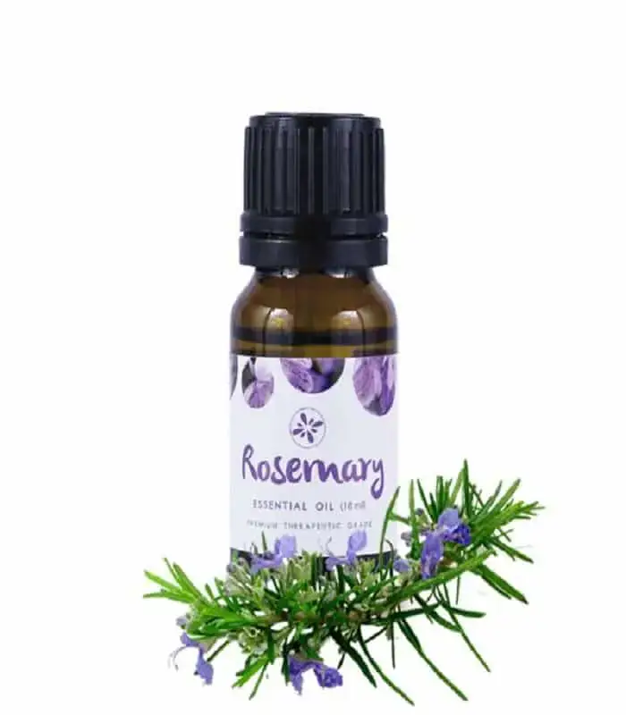 Hand holding Skin Cafe Rosemary Essential Oil 10ml bottle, showing a transparent oil drop on fingertips. - thumbnail