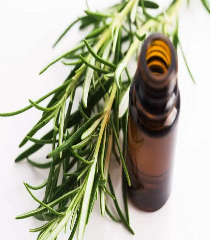 Close-up of Skin Cafe Tea Tree Essential Oil bottle's amber glass and white dropper cap. - thumbnail