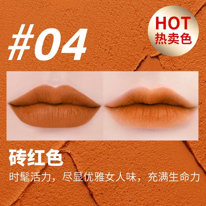 Swatch of Lameila SVMY Deep Brown 04 velvet lip glaze showcasing rich color. - thumbnail